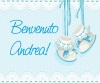 Benvenuto Andrea!